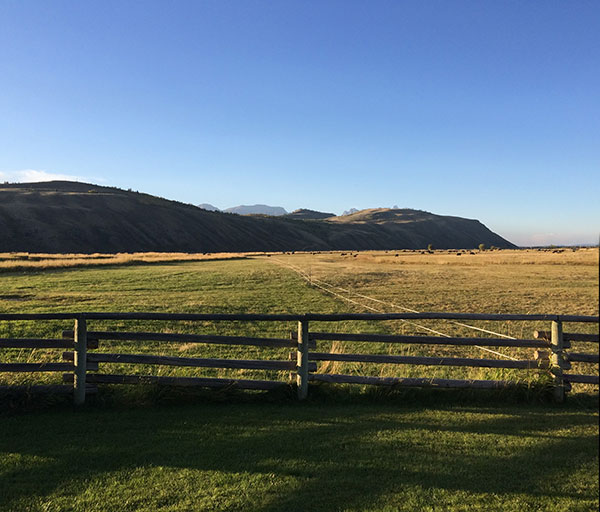 Mead Ranch
