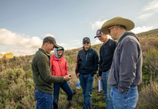 students in a field looking a plant life