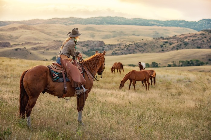 Wyoming ranch horse and cattle