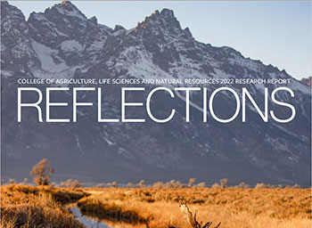 Reflections cover