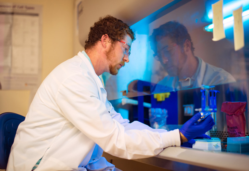 veterinary lab technician working