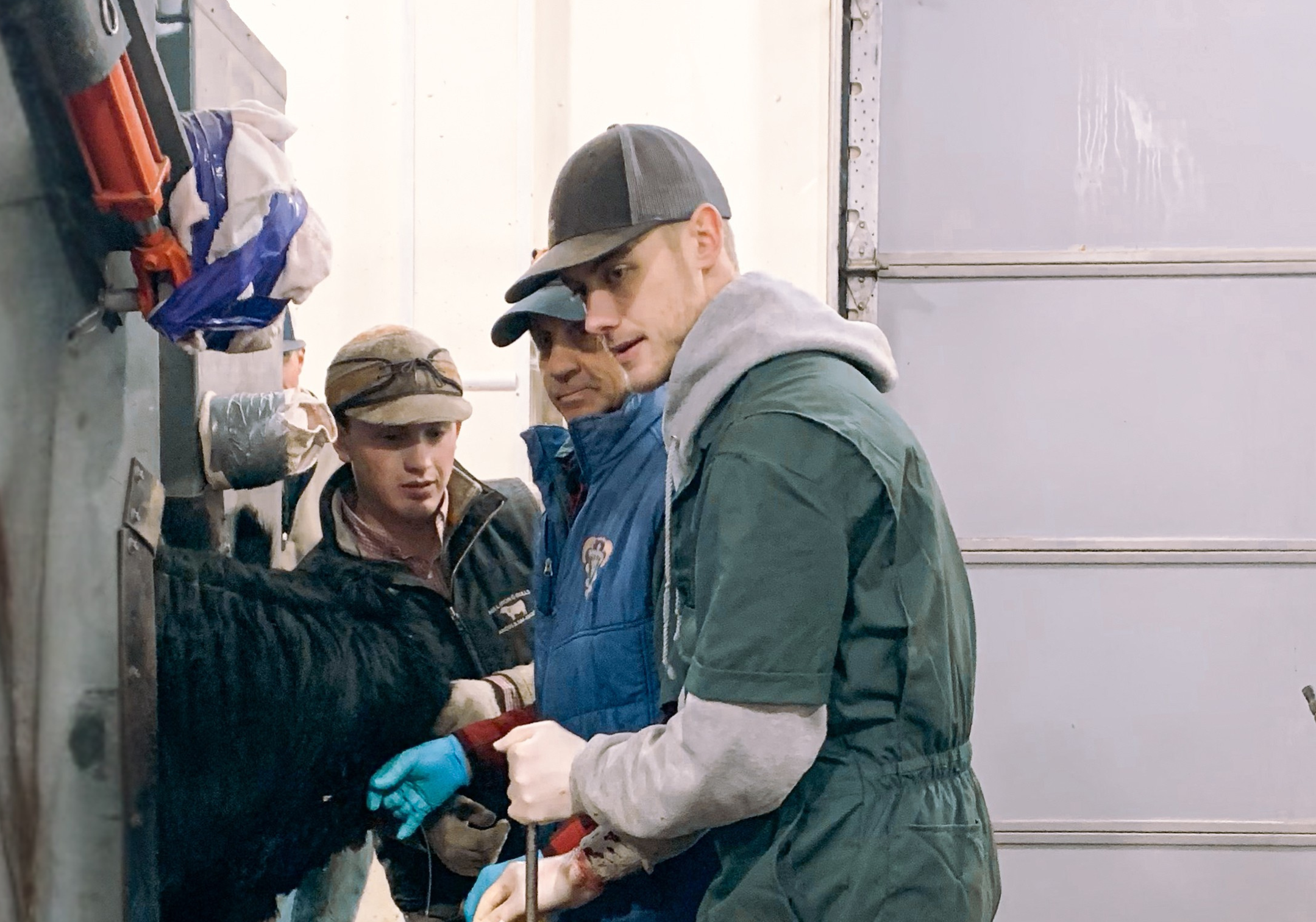 In the cattle industry, AI usually means artificial insemination. But, for one groundbreaking UW scientist, AI in beef production also refers to artificial intelligence. A native of Wheatland, Wyoming, PhD student Chase Markel has been involved in cattle production for as long as he can remember. It’s his heritage, his passion, and his primary area of study as a university researcher.