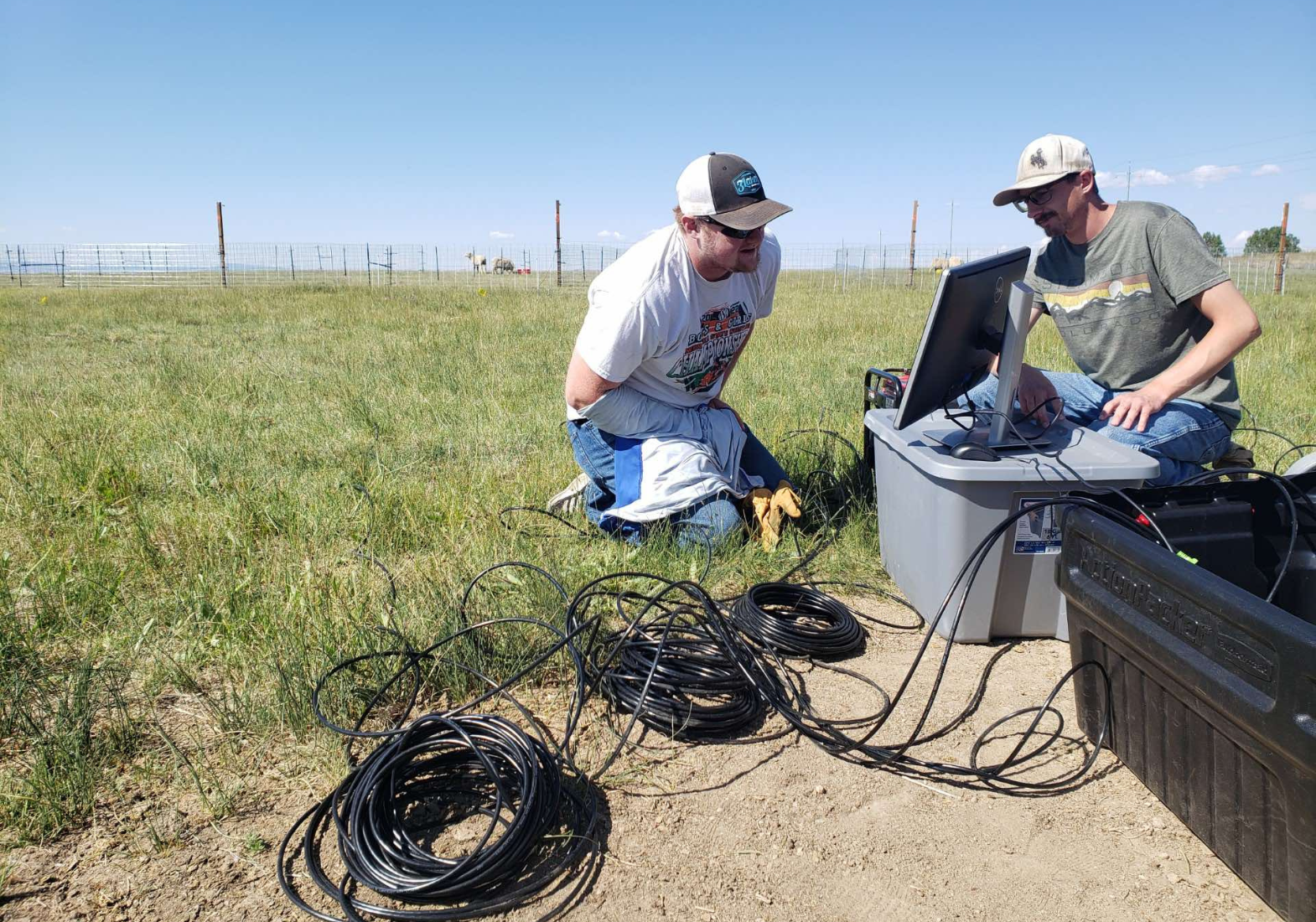 researchers in the field collecting data