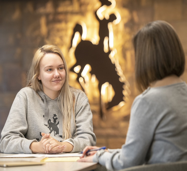 Student and counselor