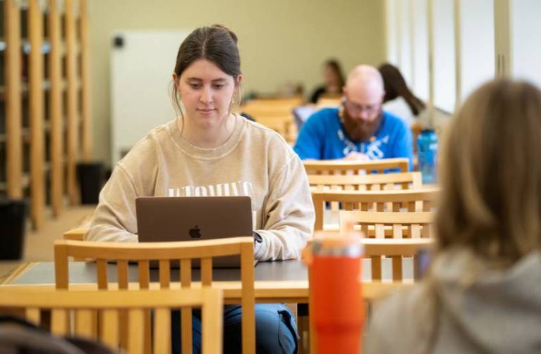 Student doing homework on a computer at the library.