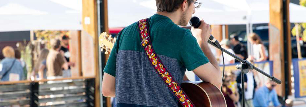 Singer at concert