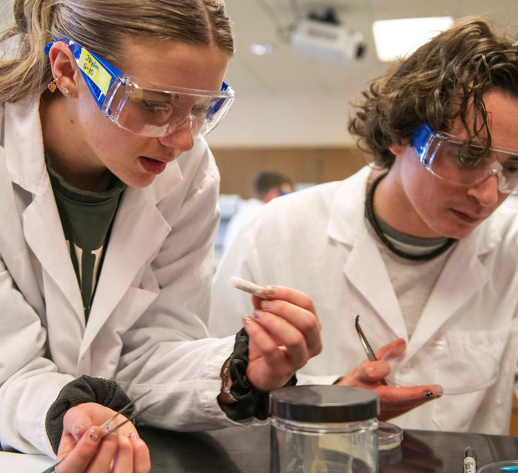 Students working in science lab