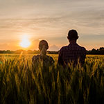 Two individuals looking at a sunset