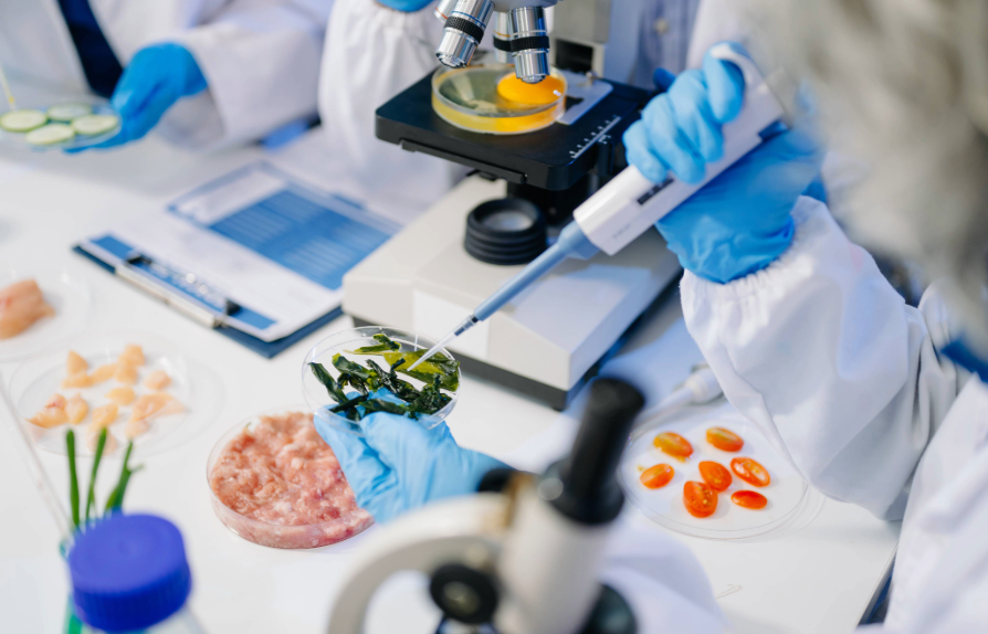 the arm of a scientist pipetting into a dish of asparagus in a lab setting
