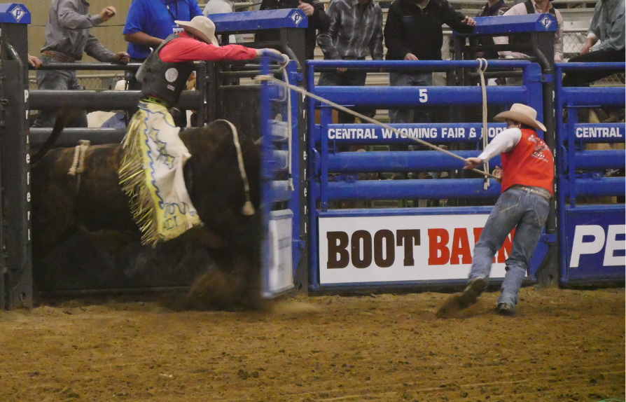 a gate man pulls open a shoot for a bull rider at a rodeo