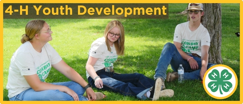 3 4-H participants sit on a lawn text on image reads 4-H youth development