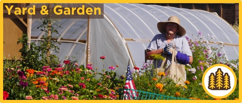 a woman stands in a flower garden with a greenhouse behind
