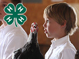 4-H and Youth Development