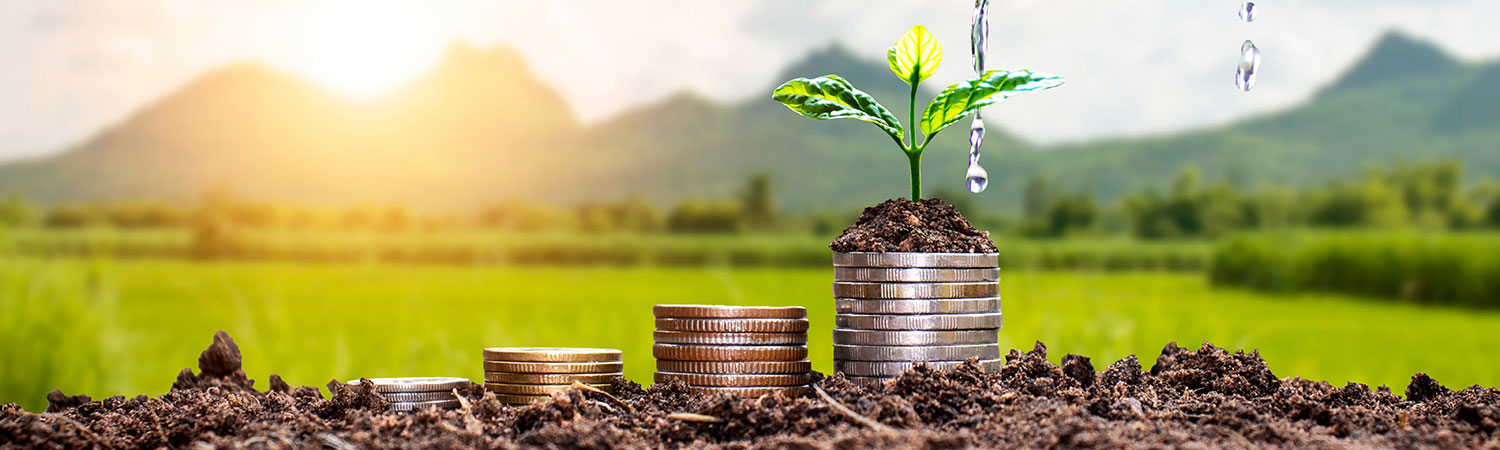 Landscape at sunset with money growing in piles