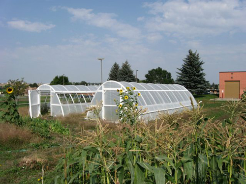 Sheridan high tunnel