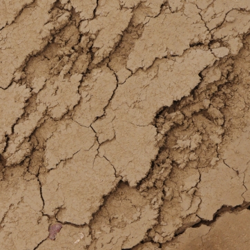 close up of dry cracked