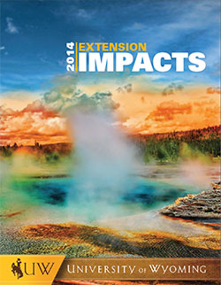 2014 impact statement cover with photo of grand prismatic spring