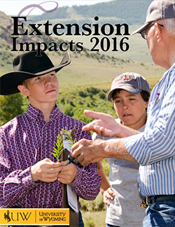 cover of 2015 impact statement people talking