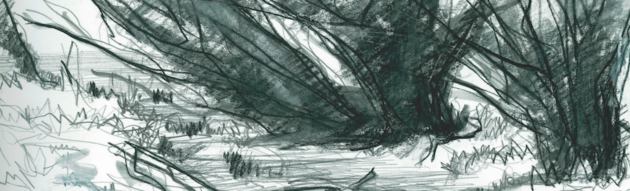 sketch of a creek with willows