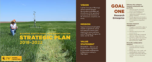 AES Strategic Plan Cover and Page 1