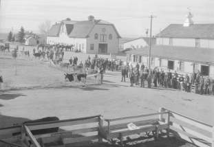 ffa juding at laramie 