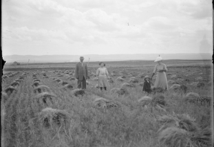 family walking through grain plots