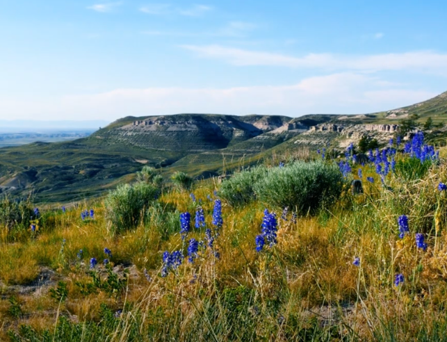 Two women working at computer