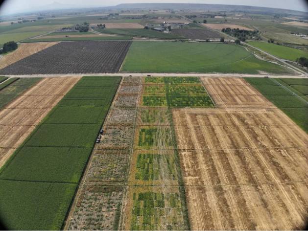 overhead footage of powell research & extension center