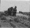 Historical Photo