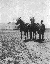 Historical Photo