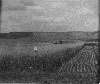 Historical Photo