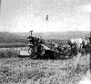 Historical Photo