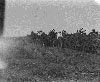 Historical Photo
