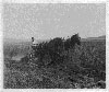 Historical Photo