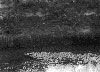 Historical Photo