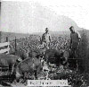 Historical Photo