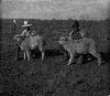 Historical Photo