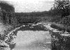 Historical Photo