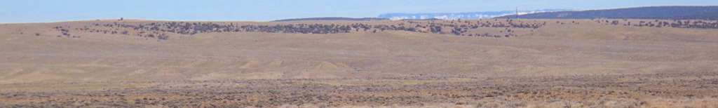 sagebrush landscape