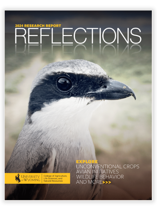 2024 Reflections Cover