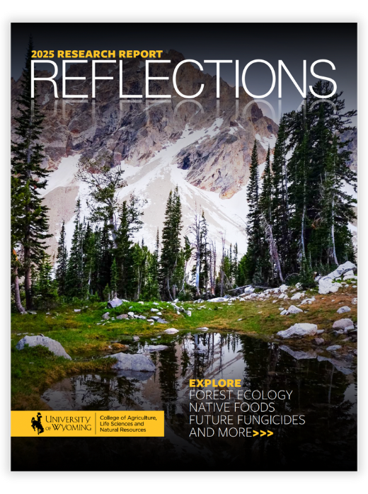 2025 Reflections Cover