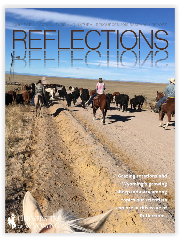 Reflections Cover Art 2019