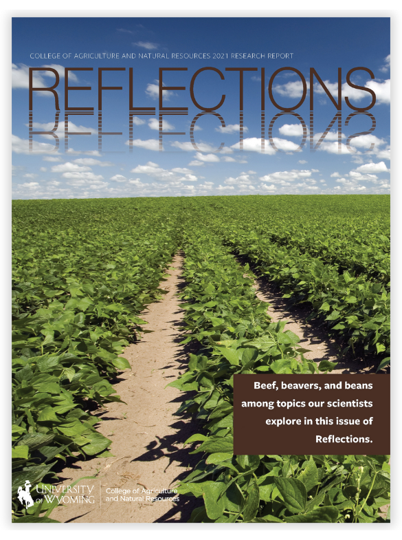 Reflections Cover Art 2021