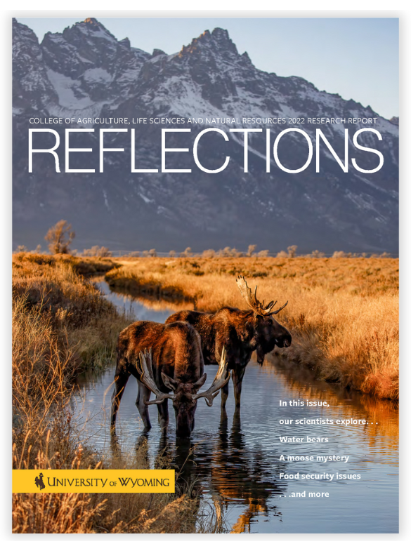 Reflections Cover Art 2022