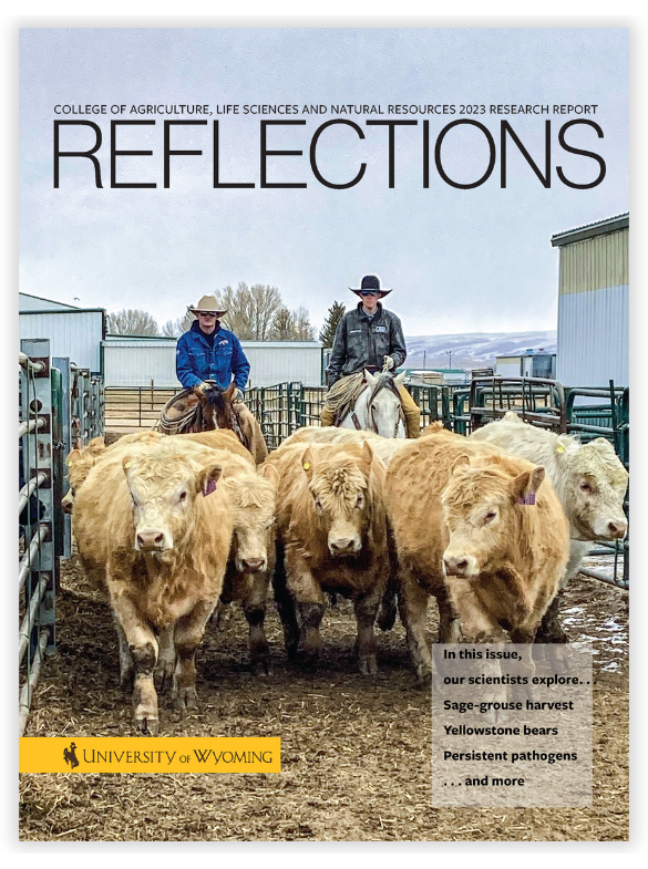 Reflections Cover Art 2023