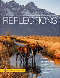 2022-reflections-cover-200.jpg