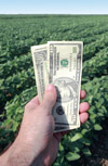 The Economic Returns to U.S. Public Agricultural Research & Development