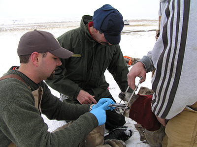 David Edmunds, University of Wyoming graduate student