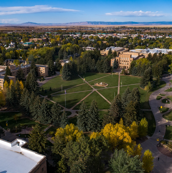 Arial view of Prexi's pasture.