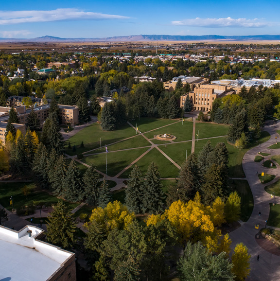 Arial view of Prexi's pasture. 